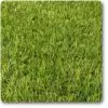 Bermuda Grass A Grade  | فائن ڈاکہ برمودا گھاس