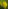 Cassia fistula | Golden Shower Tree | Bahava | املتاس – eTree.pk