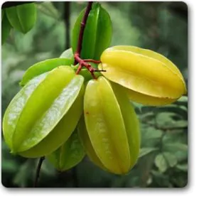 Kamrak | Starfruit Image