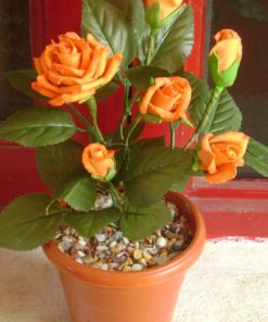 Rose (True Orange)  | گلاب ( خاص مالٹائی )
