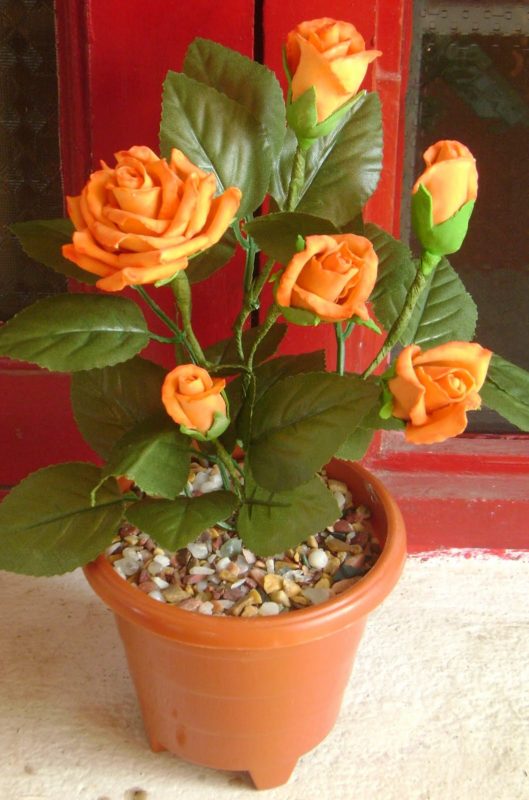Rose (True Orange)  | گلاب ( خاص مالٹائی )