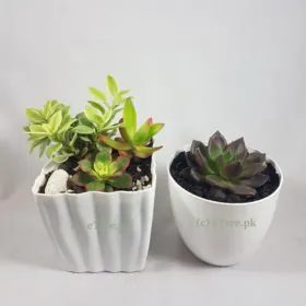 Azure eGarden Image
