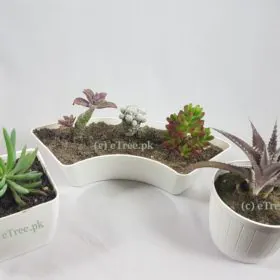 Luna eGarden Image