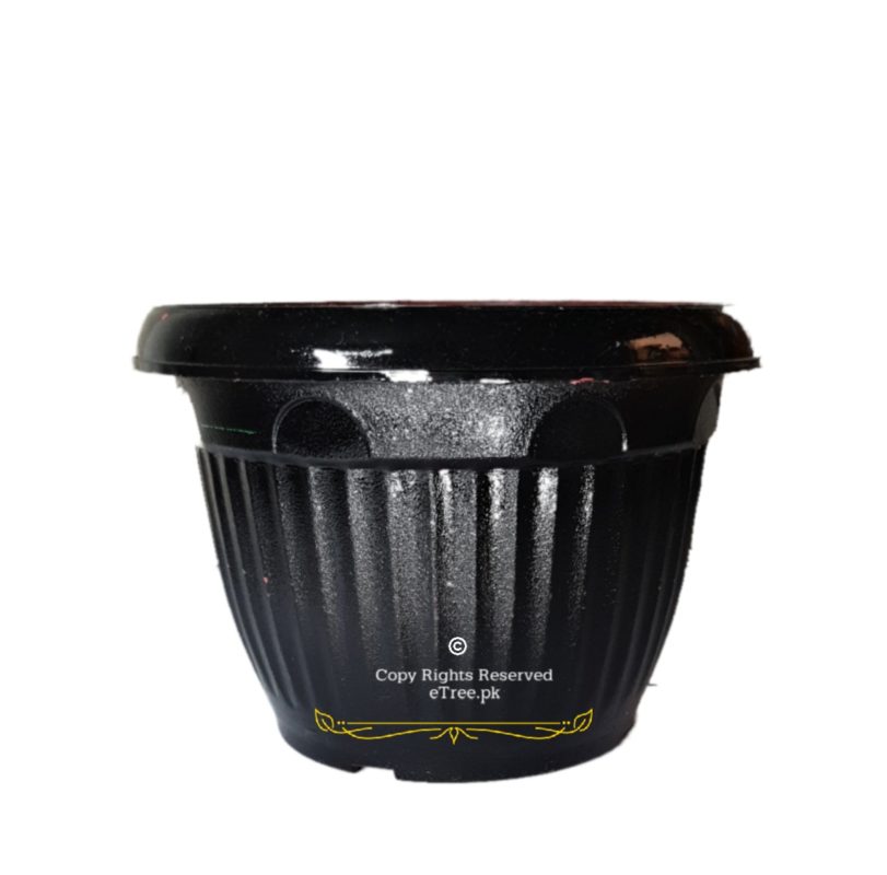 Black Plastic Pot
