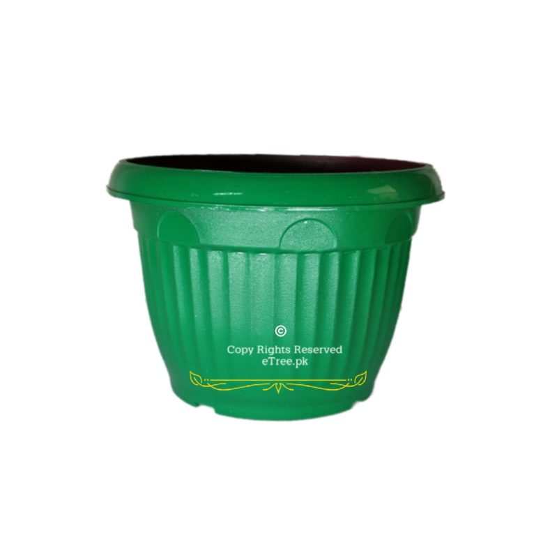 Green Plastic Pot