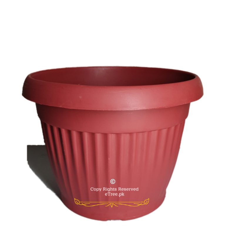 Plastic Red Planter