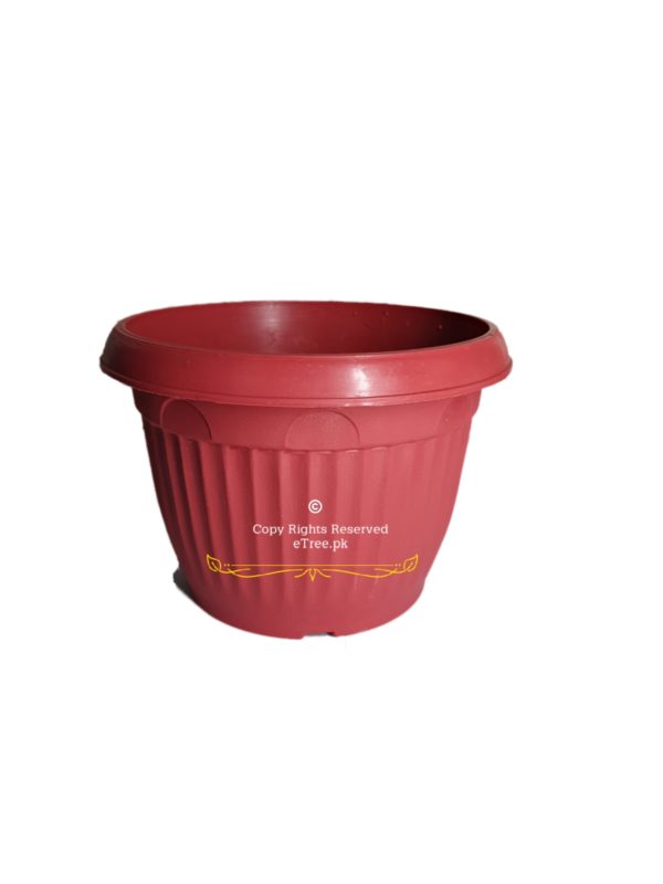 Plastic Red Planter
