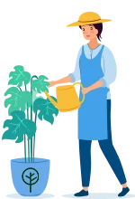 expert care guide for your plants
