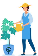 expert care guide for your plants