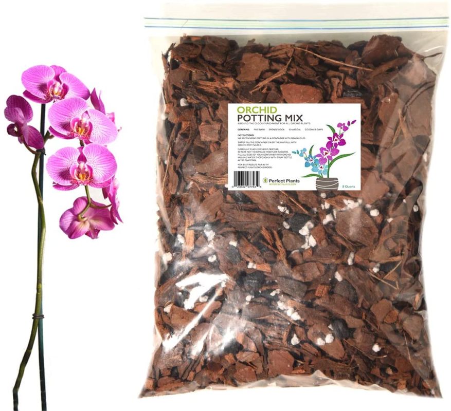 Orchid Potting Mix Formulated for Pakistan's Unique Climate