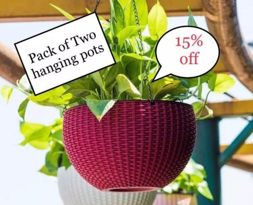 Buy hanging basket planter for plants online in Karachi, Lahore, Islamabad and Pakistan