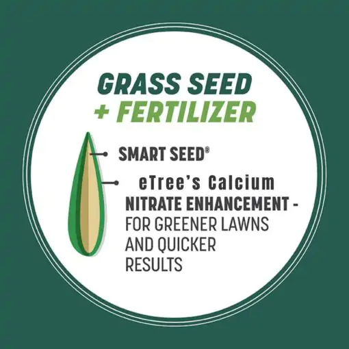 Bermuda Grass Seed with Smart Fertilizer