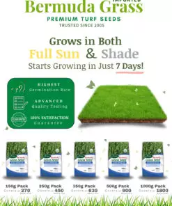 Buy imported Bermuda Grass Lawn Grass Seeds online in Pakistan with Free Delivery