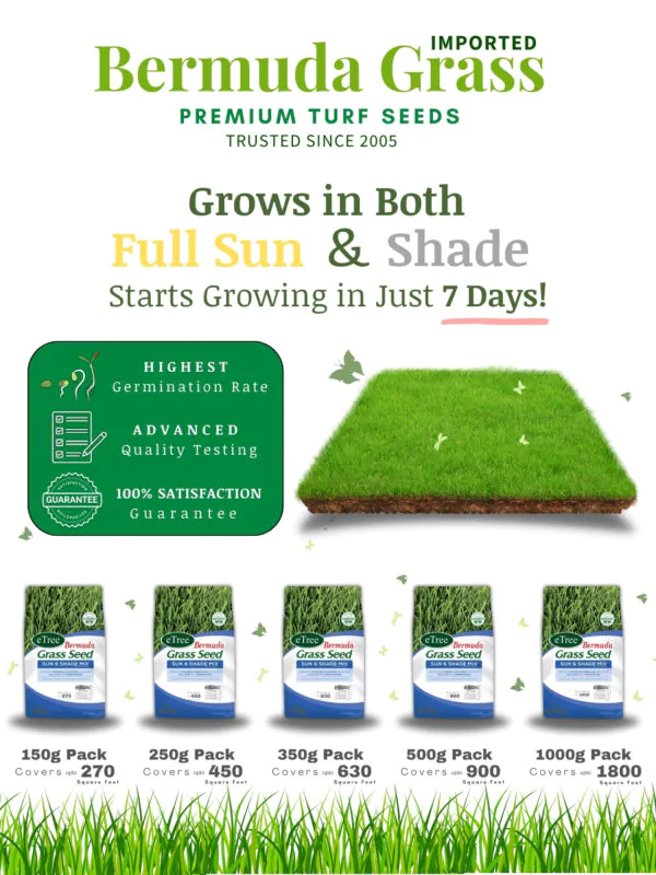 Lawn Grass Seeds Online