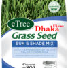 Buy Fine Dhaka Grass Seeds Online in Pakistan
