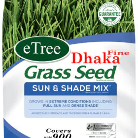 Fine Dhaka Grass Seeds (Imported) - Premium Quality Image