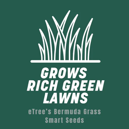 eTree’s Bermuda Grass Grows Rich Green Lawns