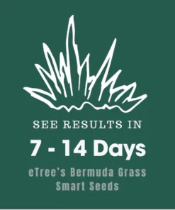 eTree's Bermuda Grass Seeds - grows in just 7-14 Days
