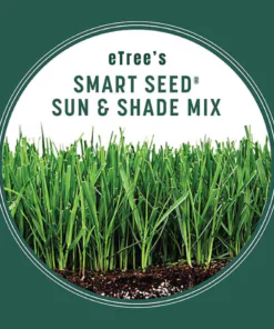 eTree’s Bermuda Grass Smart Seeds
