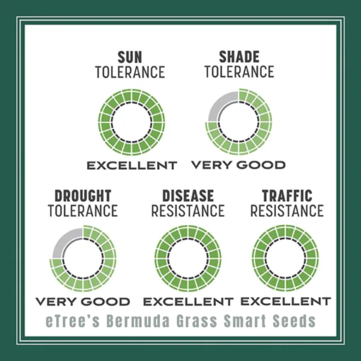 eTree’s Bermuda Grass Smart Seeds are disease resistant, sun and shade tolernt