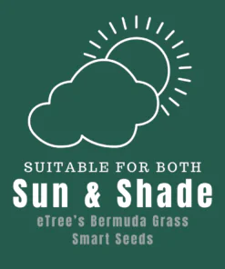 eTree’s Bermuda Grass is suitable for both Sunny aread and Shade