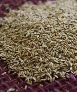 Bermuda Grass Seed Pakistan