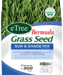 Bermuda grass seeds in Pakistan