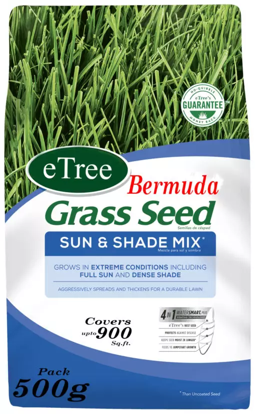 Bermuda grass seeds in Pakistan
