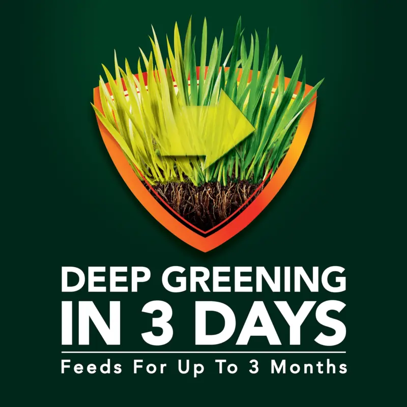 Max Green Lawn Food