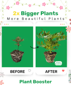 etree's planter boost general fertilizer makes your plants twice as big