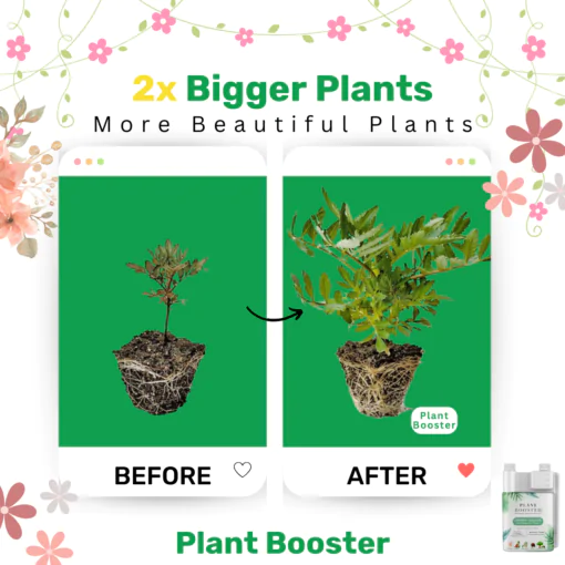 etree's planter boost general fertilizer makes your plants twice as big