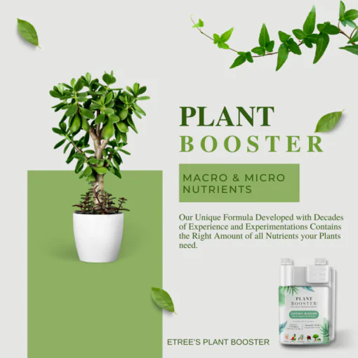 eTree Plant Booster liquid plant fertilizer. Suitable for all plants