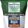 Buy Kentucky blue grass seeds online in Pakistan 1
