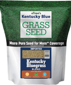 Buy Kentucky blue grass seeds online in Pakistan 1