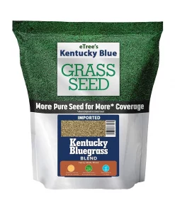 Buy Kentucky blue grass seeds online in Pakistan 4
