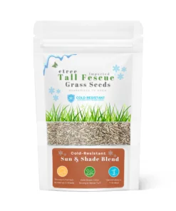 Buy Cold Resistant Tall Fescue Grass Seeds in Pakistan-suitable for extreme cold weather