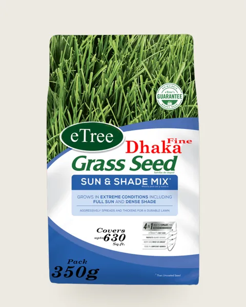 Fine Dhaka Grass Seeds