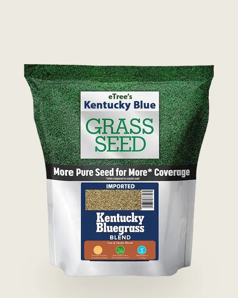 Kentucky Blue Grass Seeds