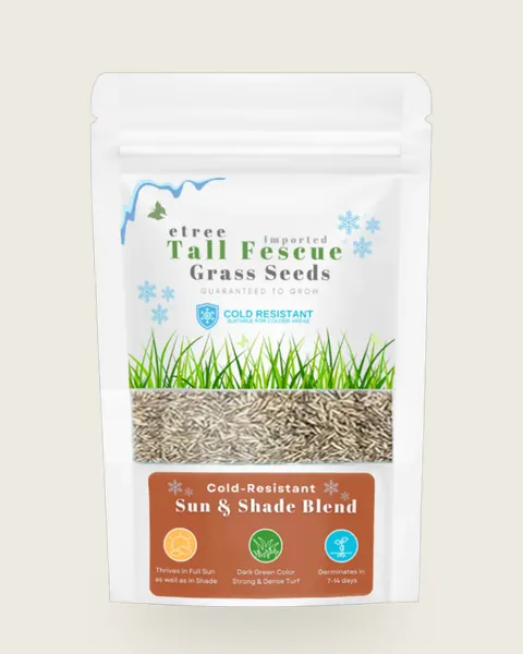 Tall Fescue Grass Seed