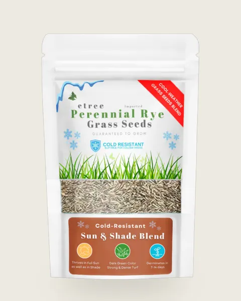 Perennial Rye Grass Seed