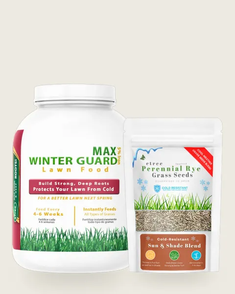 Winter Lawn Pack